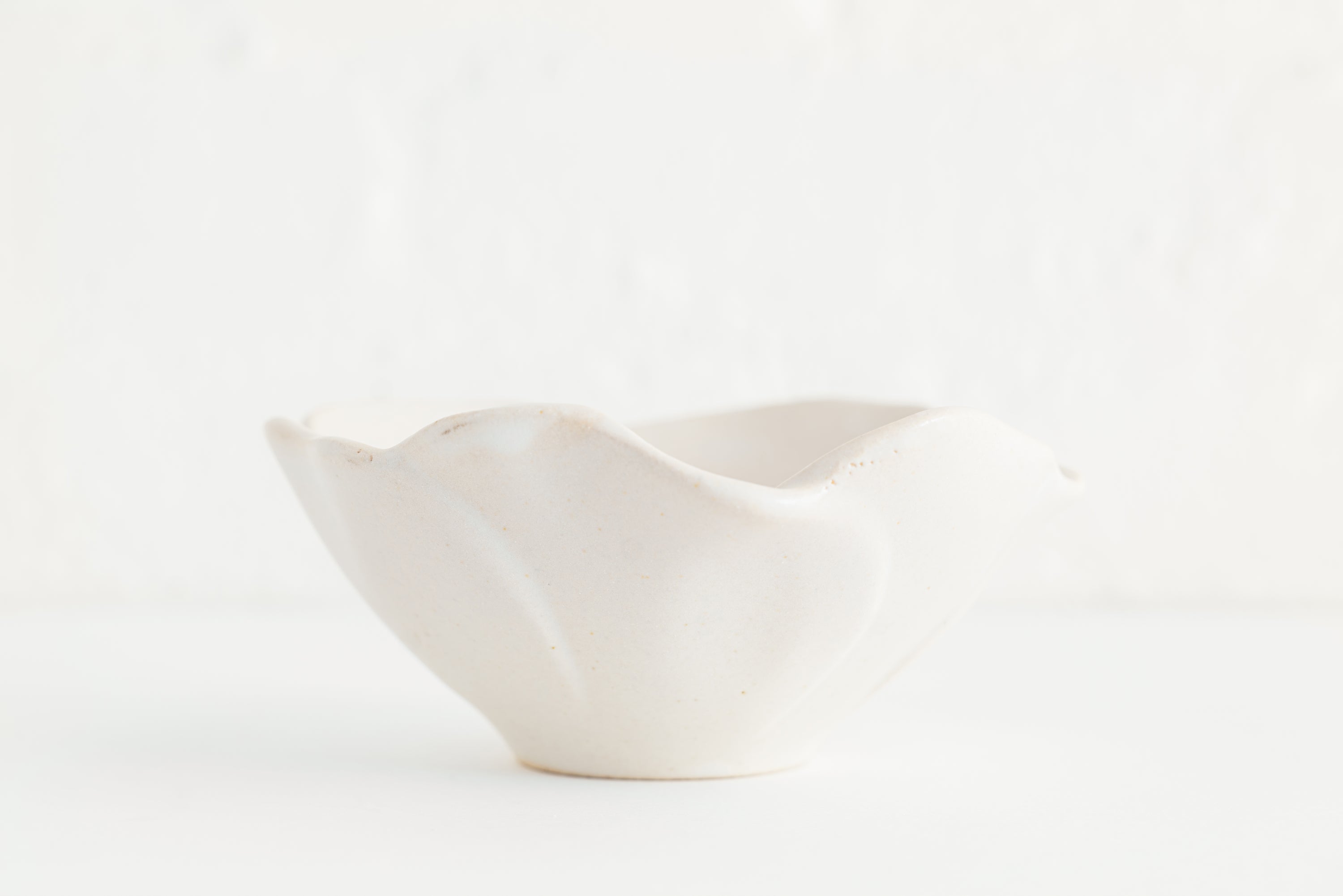 SUSgallery サスギャラリー Bowl (M) Sakura Bowl (M) Sakura SUSgallery【サスギャラリー】公式サイト